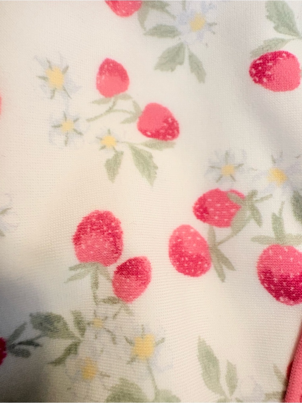 Hollister White Strawberry Print Bikini Bottoms with Pink Trim - Picture 8 of 8